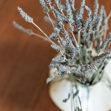 Casa D'arte * Vrahati