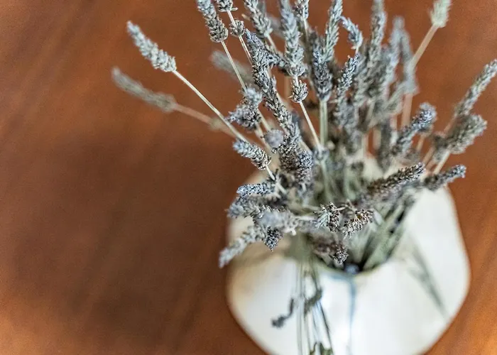 Casa D'arte * Vrahati